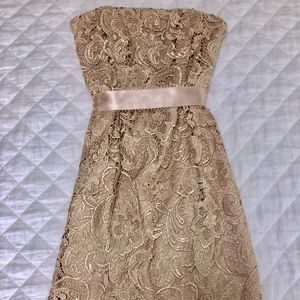 Adrianna Papell Lace Evening Dress